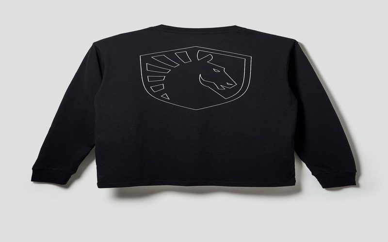 Discover the Hidden Gems of Log Horizon Official Merchandise